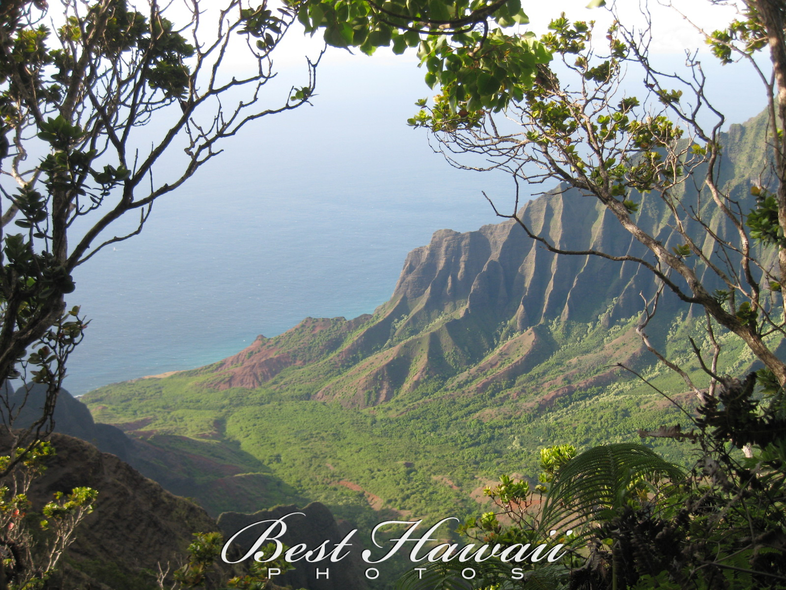 Best Hawaii Photos photo 2